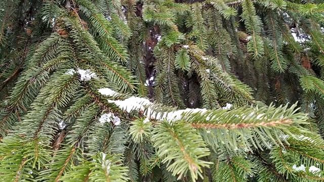 19 декабря-НИКОЛА ЗИМНИЙ.Запреты дня.О чем просить святого.Чтобы исполнились желанияНародные примет смотреть онлайн