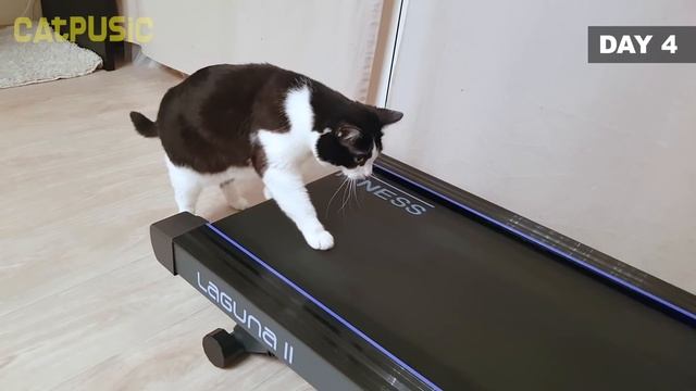 Why am I not at the Olympics? смотреть онлайн