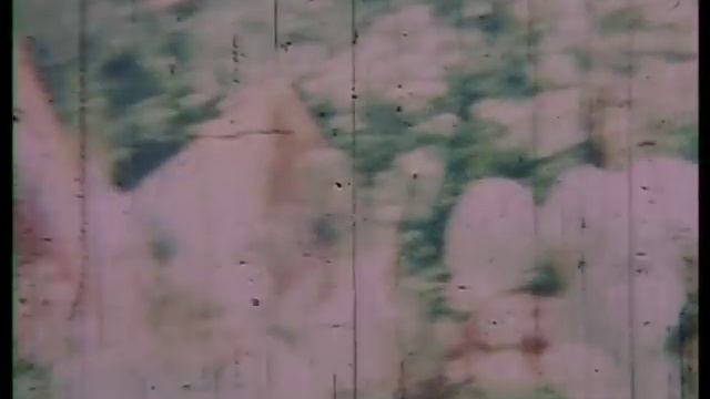 Школа №40. 10 класс. 1989. Выпускной смотреть онлайн