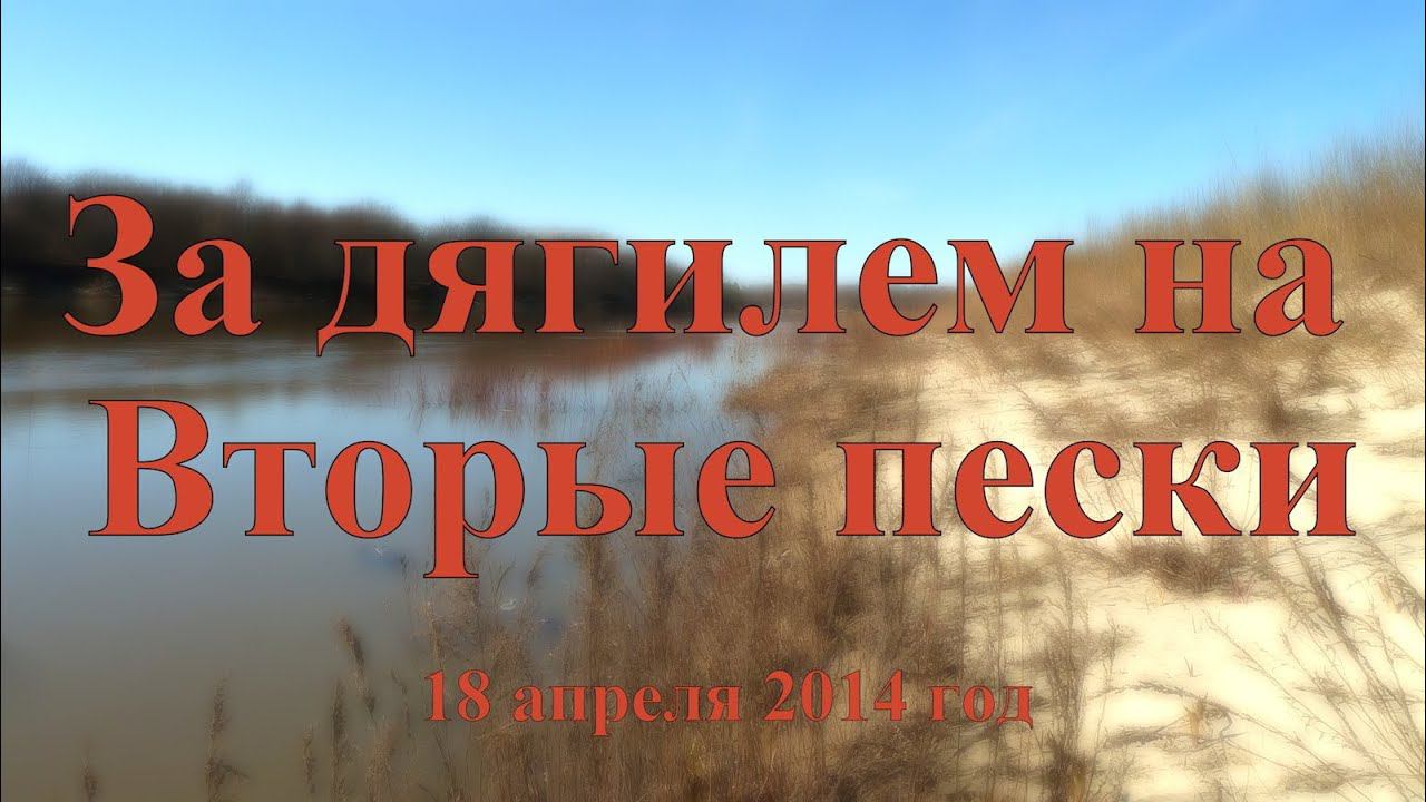 За дягилем на вторые пески 18 апреля 2014