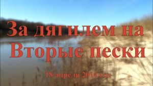 За дягилем на вторые пески 18 апреля 2014