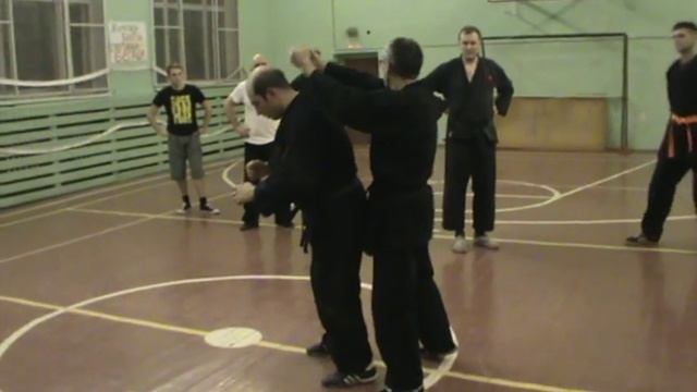 феникс джиу джитсу 1 смотреть онлайн