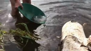Золото реки Чусовой.Сплав. Deepsees