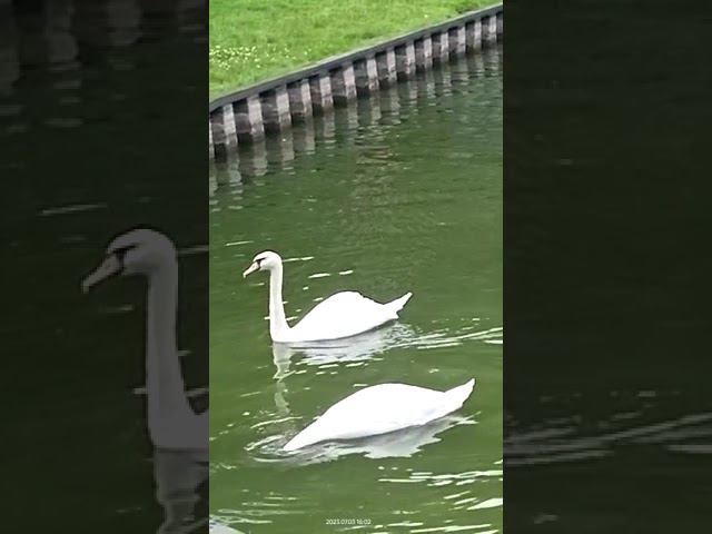 3 июля 2023 г. смотреть онлайн