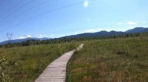 Прогулка по экологической тропе в Байкальском заповеднике, Танхой