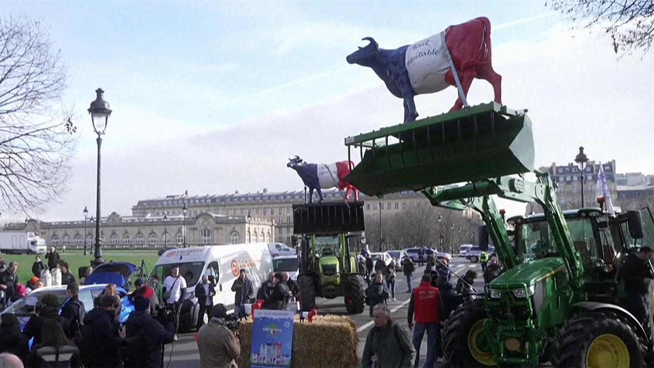 Европу все сильнее накрывает волна фермерских протестов