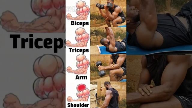 Complete arm builder ?  #armworkouts #bicepsathome