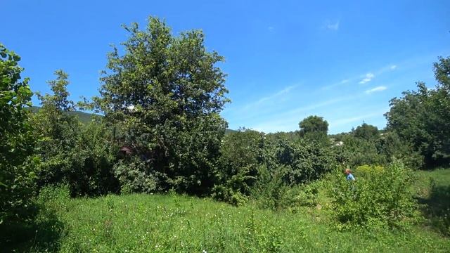Земельный участок в Крыму, село Путиловка 8 соток ИЖС (Бельбекская долина)