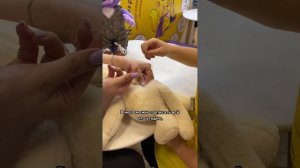 Мастерская кота Филиуса
