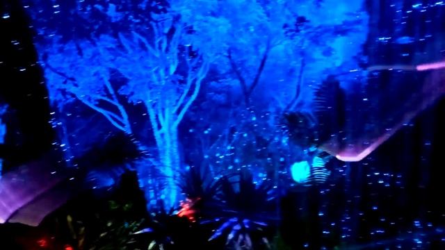 Что скрывает пещера Хунъя: Волшебный лес. смотреть онлайн