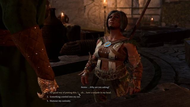 Baldur's Gate 3 - Part 1 смотреть онлайн