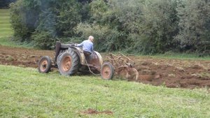 Aratura con trattore landini testacalda - plowing with antique tractor Landini hothead