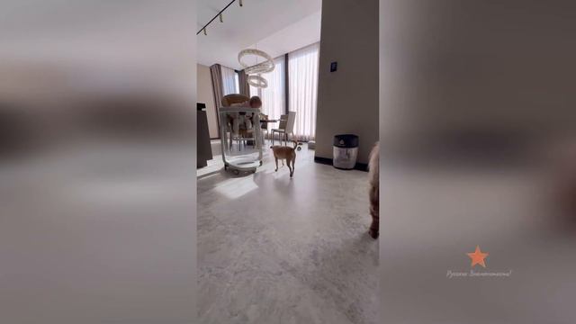 Ольга Орлова постоянно уговаривает Бруно кушать!