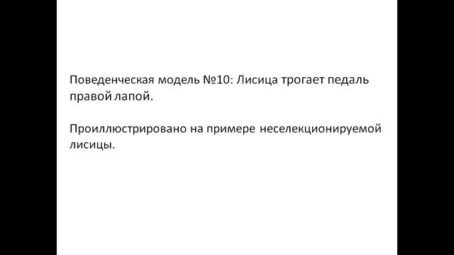 Варианты исследовательского поведения у лисиц по отношению к новому объекту смотреть онлайн