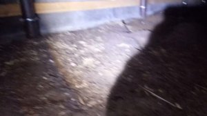 Обрешетка винтовых свай - 2 года спустя!