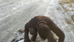 ИЗ КАКАШКИ В КАКАШКУ.