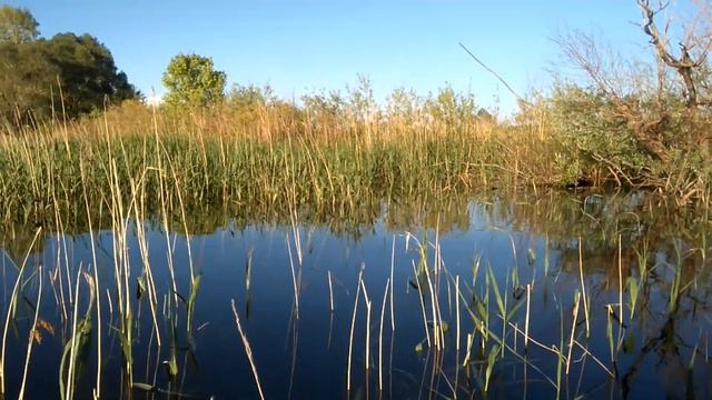 MOV 0034 Отдых на воде - 1 . смотреть онлайн