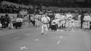 4.SVETSKO PRVENSTVO FUDOKAN SHOTOKAN BEOGRAD 2011.wmv