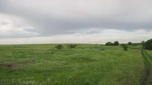 Опустевшая деревня Ракитовка, Аткарский район