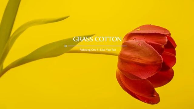 Теплая и нежная романтичная инструментальная музыка. Музыка для создания атмосферы, настроения. смотреть онлайн