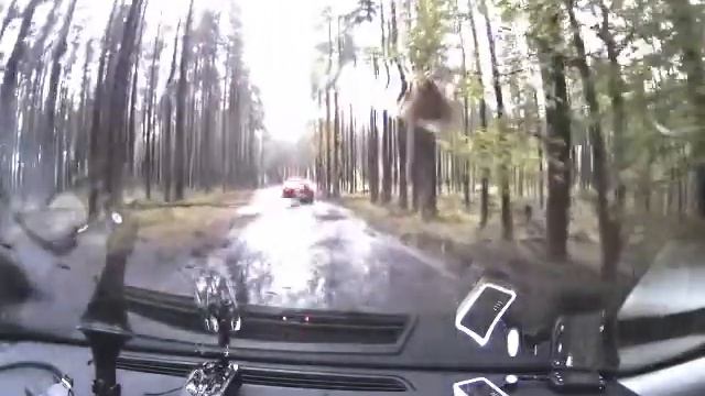 Из лесов в цивилизацию 2