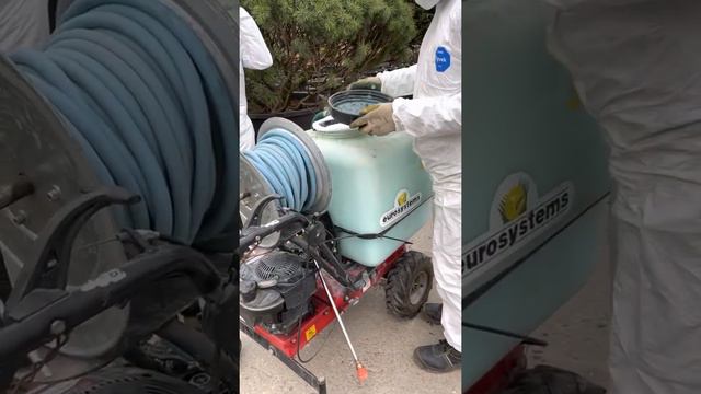 Обработка растений пестицидами