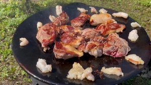Готовим на садже/самовар на углях/приехали в деревню/мясо с овощами на садже