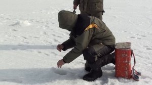 Ловим крупную кумжу зимой