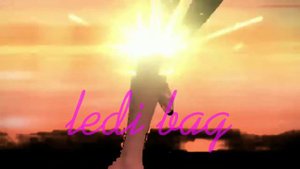 Леди баг супер кот рина руж карапас и квинби