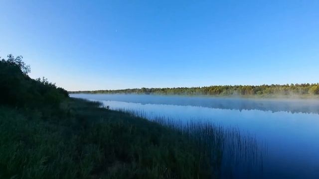 Сплав по рекам Внина, Чагодоща, Молога. Июнь 2023.