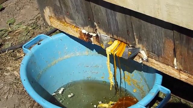 Первый запуск парогенератора для вытопки воска смотреть онлайн