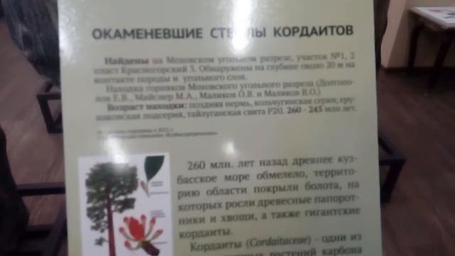 Каменные деревья или кремниевая форма жизни? смотреть онлайн