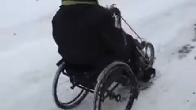 Велоприставка Speedy-Duo 2