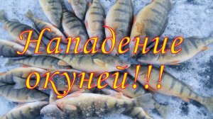 о.Песчаное, приключения с большими трудностями, отличной рыбалкой! Испытание  мотобура!