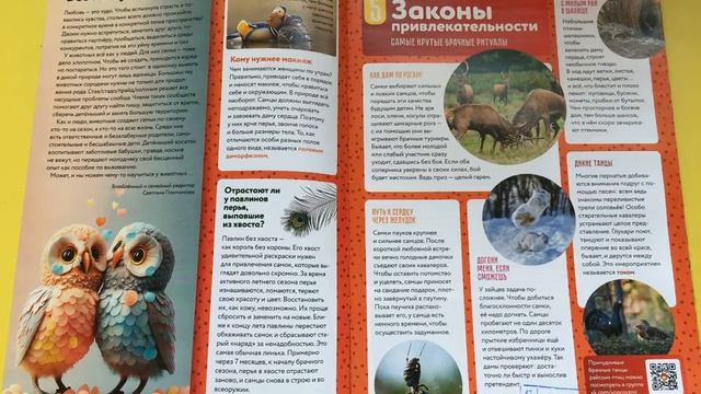 Обзор детской периодики с совой Астрид смотреть онлайн