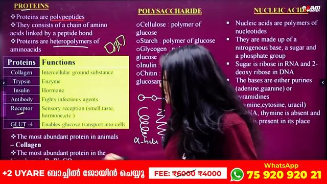 Plus One Biology Public Exam | Biomolecules | 15 മിനിറ്റിൽ   | Full Chapter Revision | Exam Winner