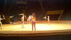 Детская цирковая школа.