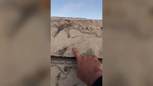 Аэродромные плиты ПАГ20 — миф или реальность?