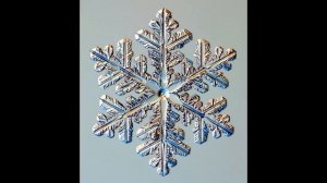 Макро фото снежинок 1 (снежинки под микроскопом)