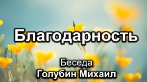 Благодарность. Голубин Михаил. Беседа. МСЦ ЕХБ