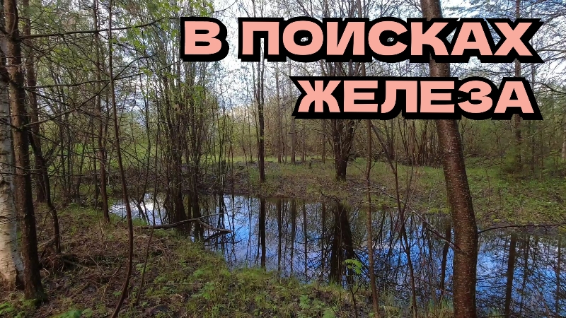 В поисках железа