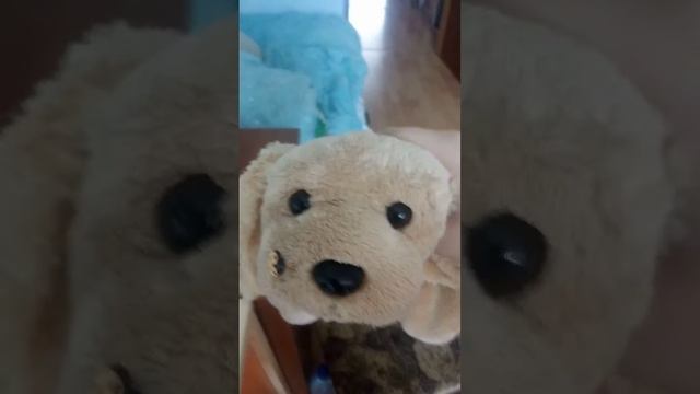 игрушки топ❤️❤️❤️???? смотреть онлайн