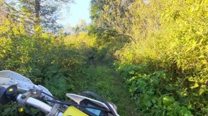 Поездка и леса через ручей на квадрике с мото Алена Виталий Андрей