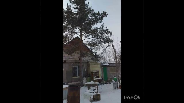 Hello from the pan Elon Musc-2 смотреть онлайн