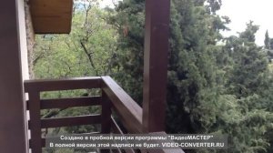 Трехэтажный дом в кипарисовой роще