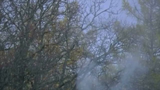 Агни Парфене - Валаам