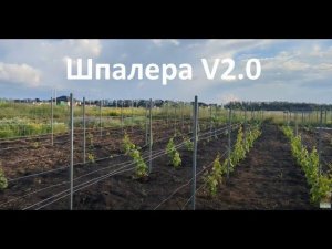 Шпалера для винограда I Version 2.0 I Монтаж от А до Я