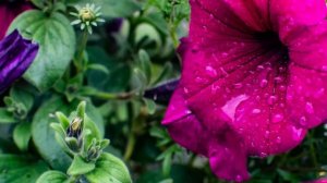 Фиктивный брак. Жизненные истории. Интересные истории. Душевные истории. Увлекательные истории.