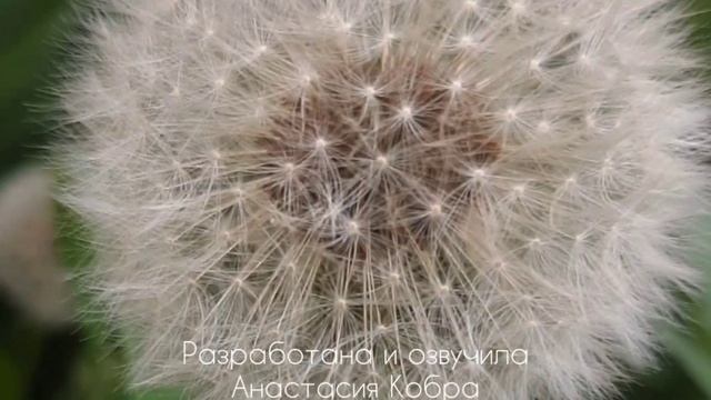 Медитация"Наполнение Энергией"#рейки#восстановление#практика#наполнения
