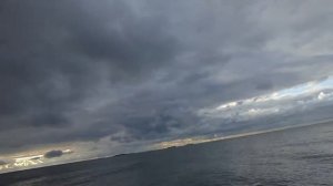 Онега-16 Солар-350СЛ Сиа Про 9,9 4Т